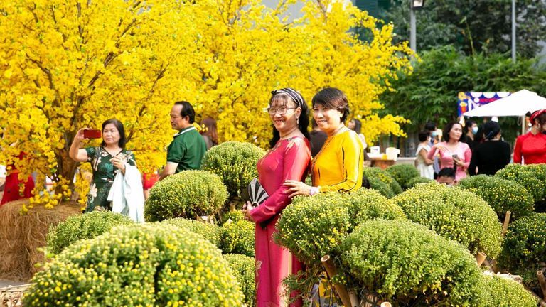 Another Tet Away From Home: Overseas Vietnamese Long For Family Reunion