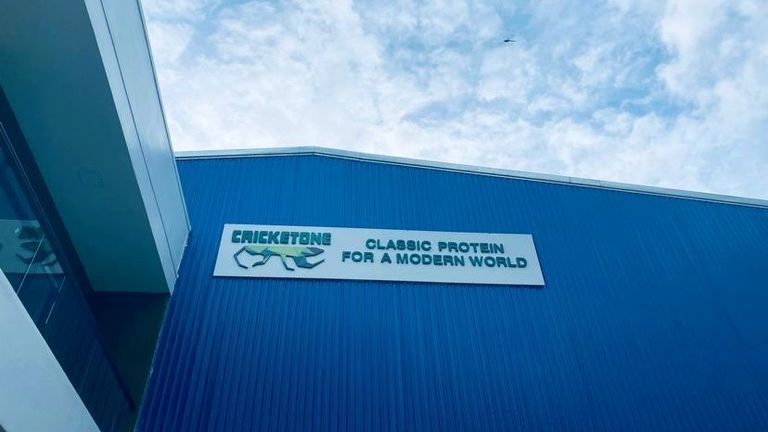 Cricket One Launches Asia’s Largest Cricket Processing Facility, Secures Series A Funding