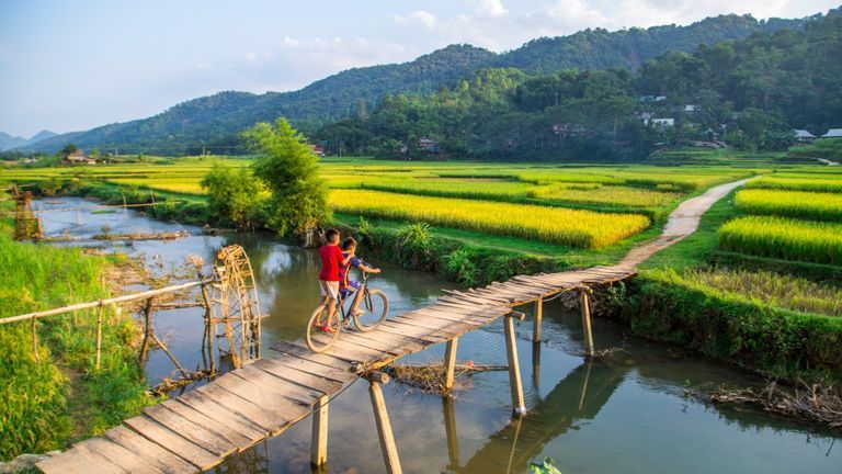Breathtaking view of rice paddies and wooden bridge in Pu Luong, Vietnam. | Source: Shutterstock
