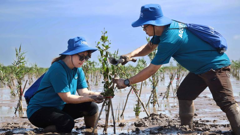 AQUA Việt Nam trên hành trình  “dưỡng xanh” cho đất Việt