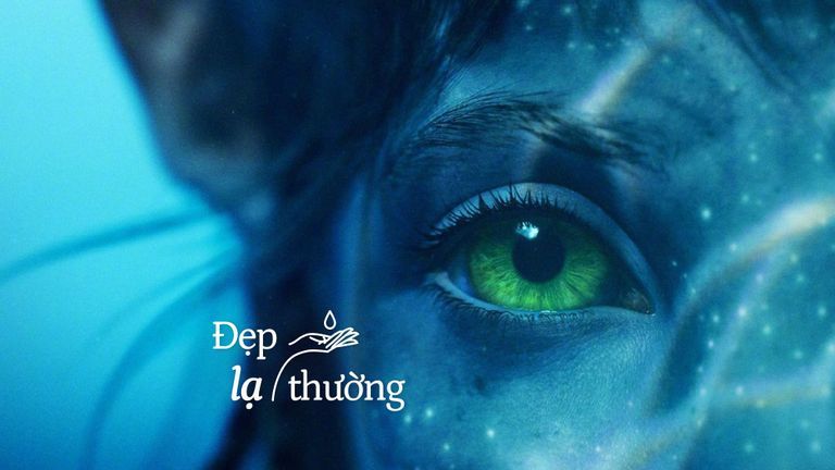 Nguồn: Avatar