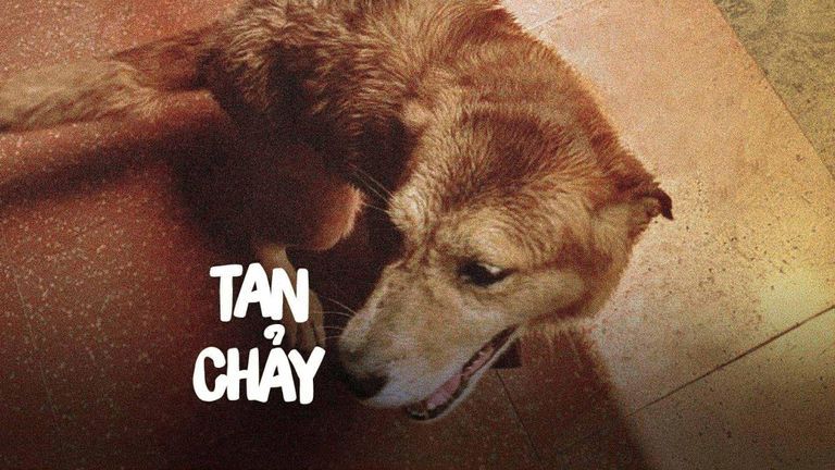 Nguồn: Thư cho Vietcetera
