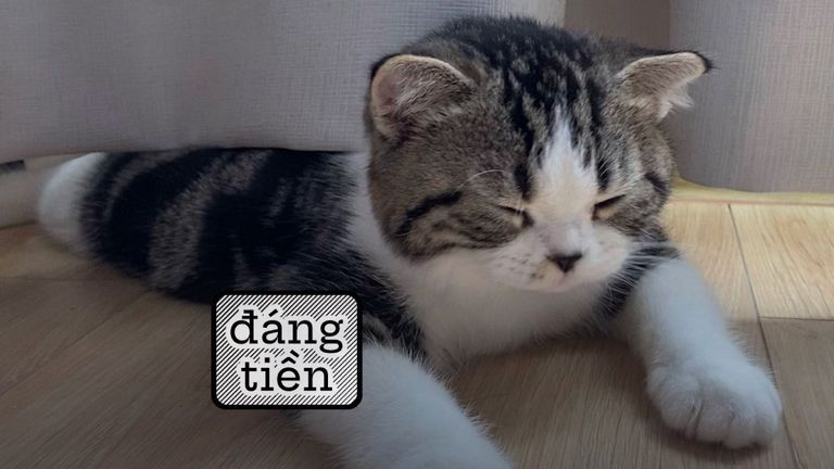 Nguồn: An Trương