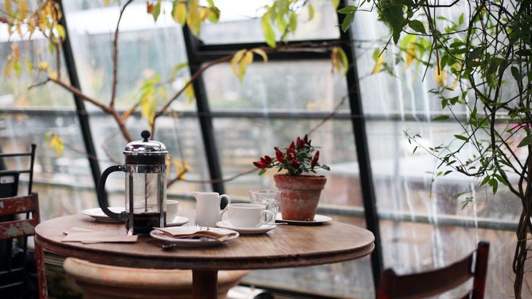 Top Airbnb Hosts in Ho Chi Minh City
