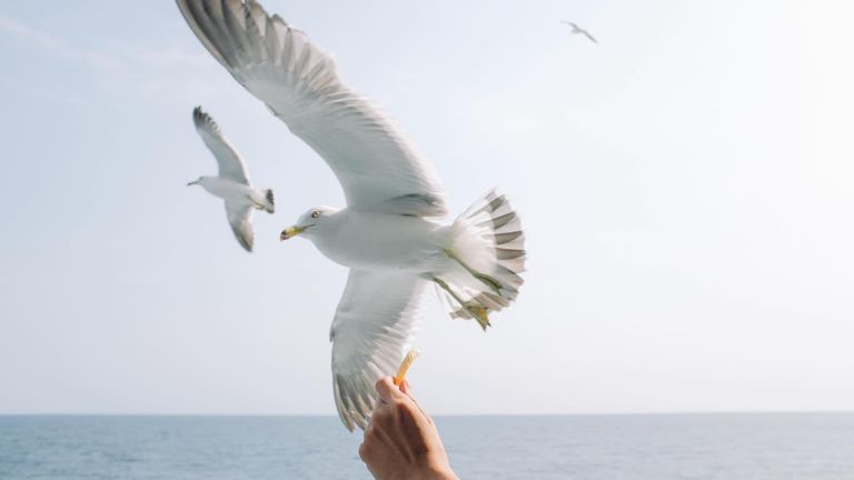 Nguyen Son Tung On Slow Travel, Street Photography, And The Memories Of Vietnam