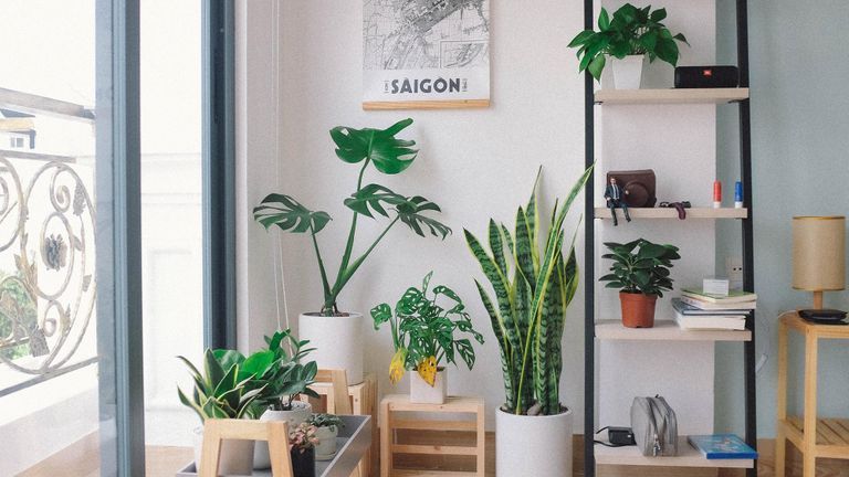 Sống tối giản: Tiết kiệm tiền lại bảo vệ môi trường