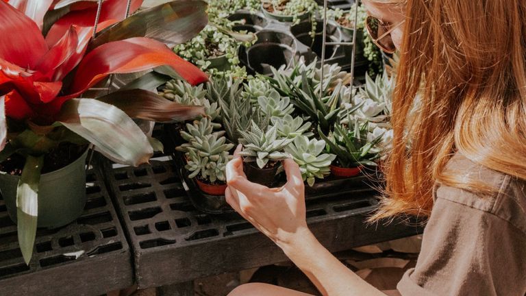 Xử lý rác hữu cơ tại nhà – Hành động thiết thực nhất vì môi trường