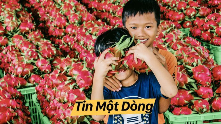 Tin Một Dòng: COVID-19 lan rộng nhưng chứng khoán và nông sản Việt đã lóe tín hiệu lạc quan