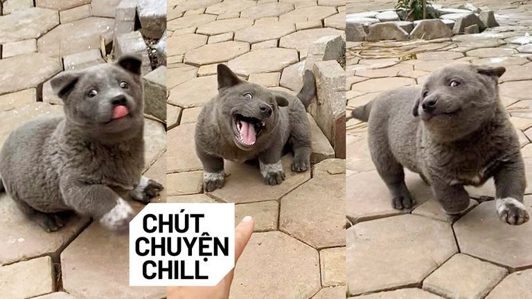 Chút Chuyện Chill: Nguyễn Văn Dúi, phổ cập smartphone và kit xét nghiệm COVID-19
