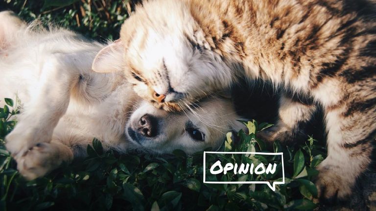 Nguồn: Unsplash