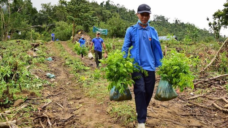 Ý nghĩa của nước sạch trong đời sống - Một mầm cây xanh, một hy vọng mới