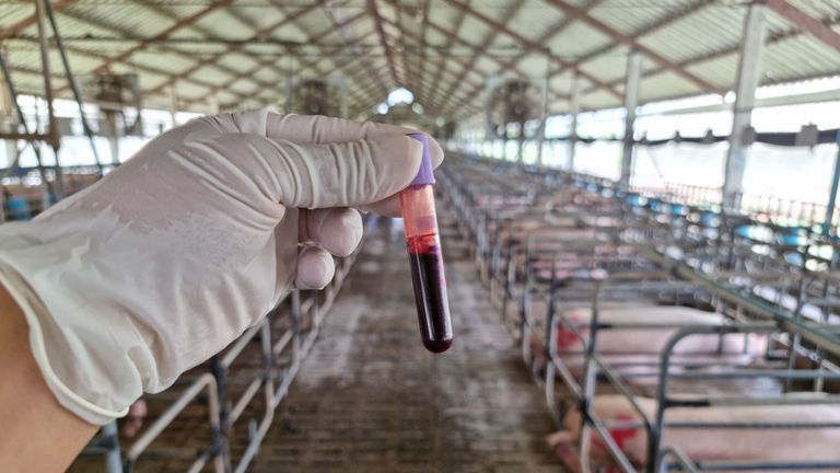 The vaccine is good, however, if the injection is not administered in accordance with our technical instructions, it may not be effective. | Source: Shutterstock