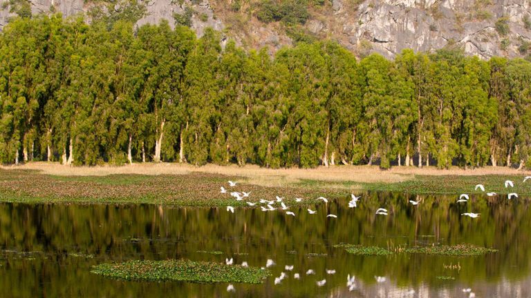 World Wetlands Day: 5 Wetlands In Vietnam And Why They’re Important