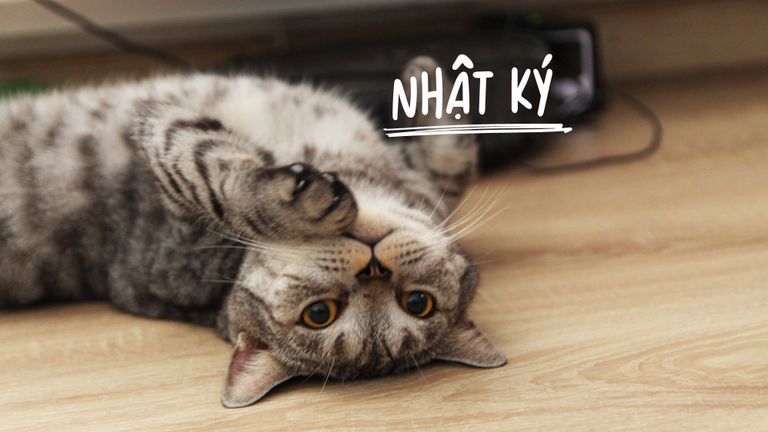 Cuối cùng chung cư nhà tôi cũng cho phép nuôi chó mèo!