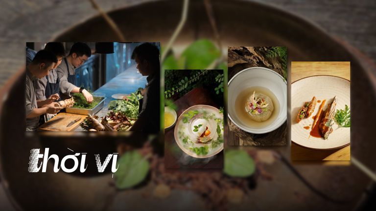 Rau, củ, nấm, đậu dưới ánh đèn Fine Dining: Sự giao thoa giữa di sản ngàn năm và hương vị đương đại