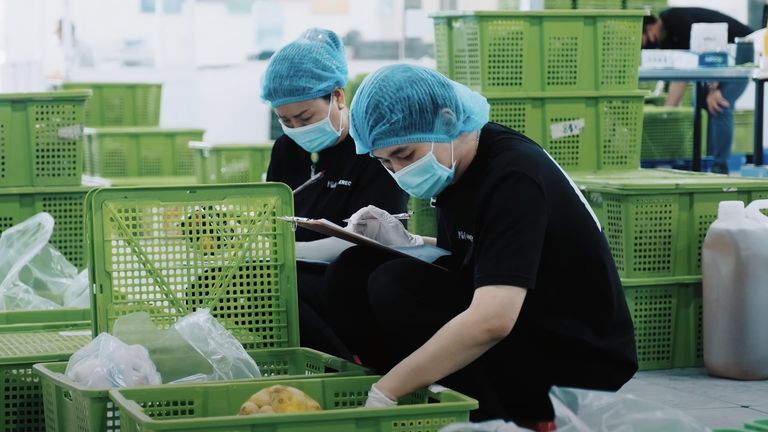 KAMEREO góp phần "thay da đổi thịt" chuỗi cung ứng thực phẩm tại Việt Nam