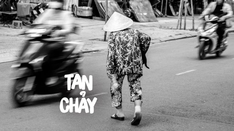 “Bà quên mọi thứ, chỉ có hai con chó bà nhặt về là không”