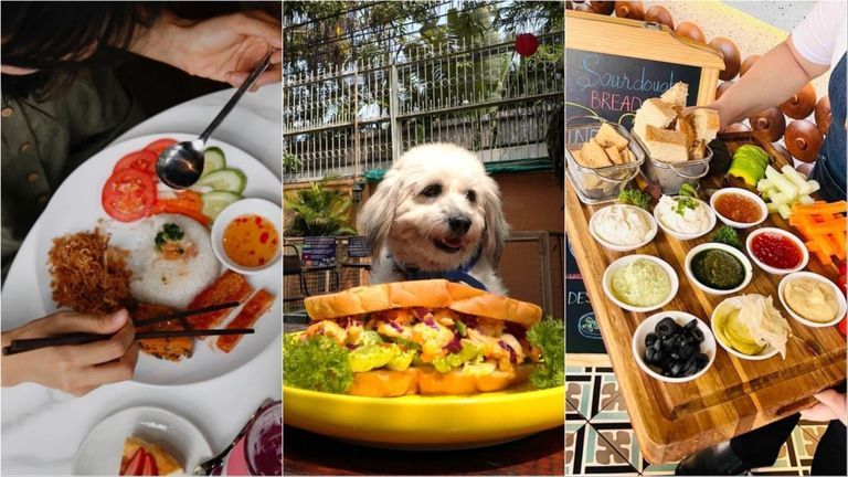 Grab your pup’s leash and explore the culinary havens that cater to humans and their furry friends.