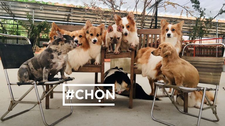 Hình ảnh mang tính chất minh họa. | Nguồn: Klook