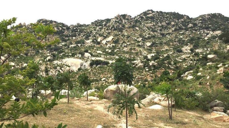 Núi đá thuộc huyện Thuận Nam, tỉnh Ninh Thuận | Nguồn: Sống Foundation