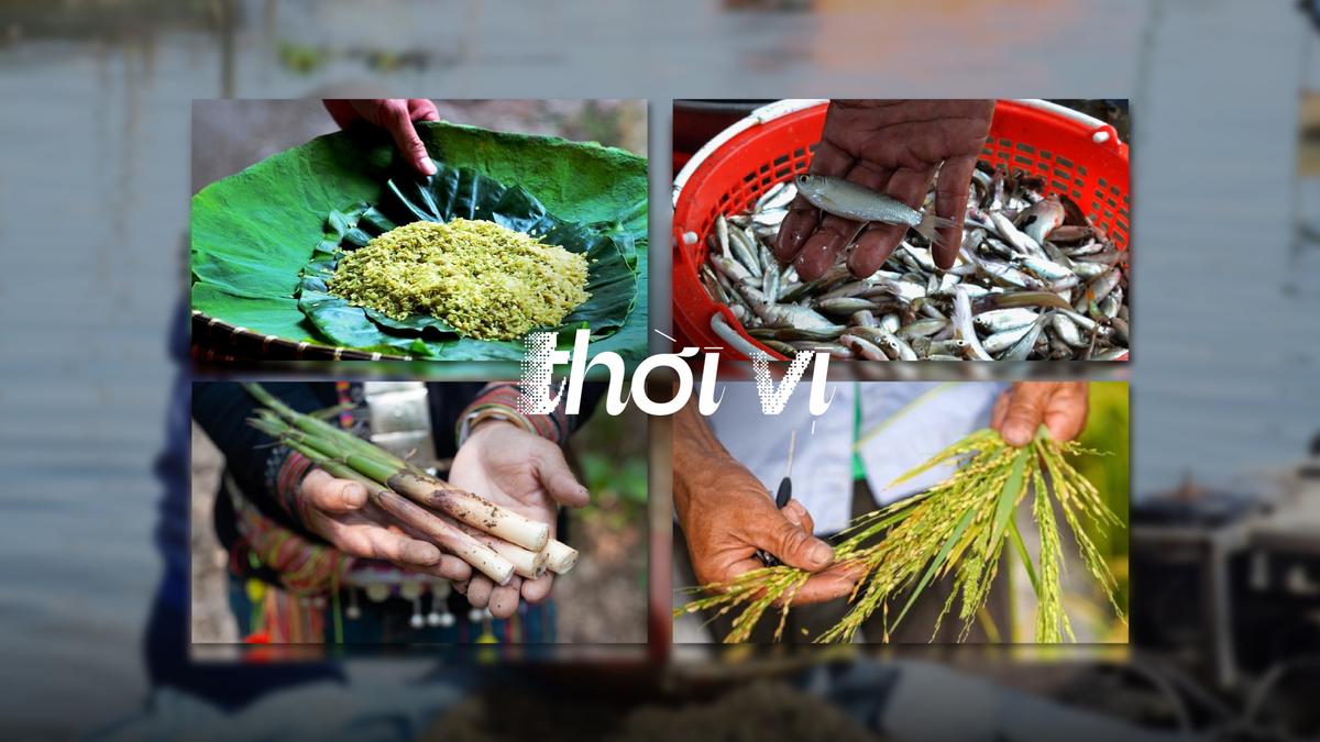 Mỗi thời điểm mang đến những hương vị độc nhất: Góc nhìn của kỹ sư nông nghiệp, đầu bếp chuyên nghiệp và bà tôi