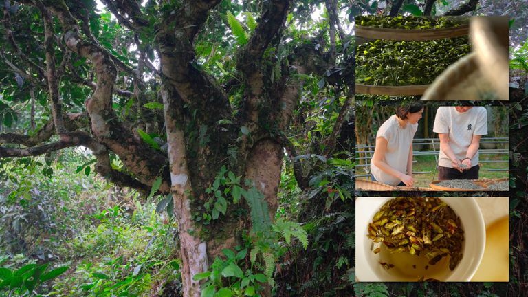 Nguồn: Tinh