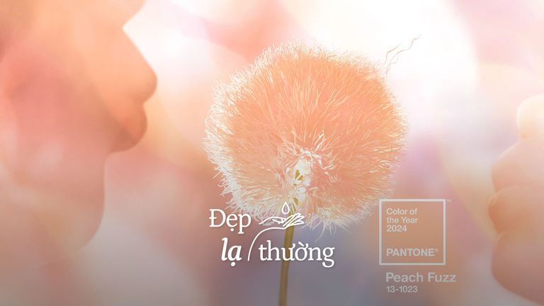 Nguồn: Patone