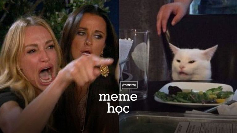 Nguồn: knowyourmeme/ thiết kế bởi Hân Nguyễn cho Vietcetera
