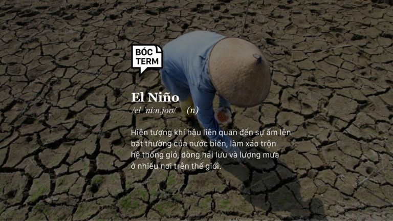 Nguồn: Tổng hợp / Thúy Anh thiết kế cho Vietcetera