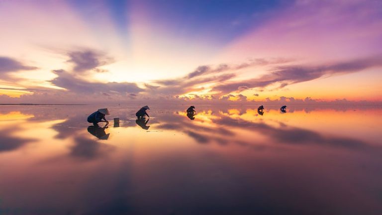 Quang Lang Beach is located in Thuy Hai Village, Thai Thuy District, Thai Binh. | Source: Doan Ngoc Anh