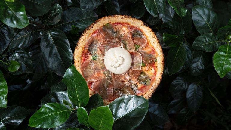 Feature