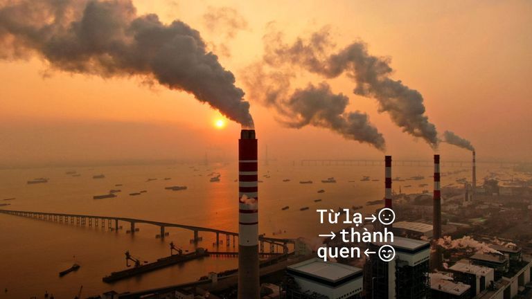 Nguồn: Báo Kinh tế Môi trường
