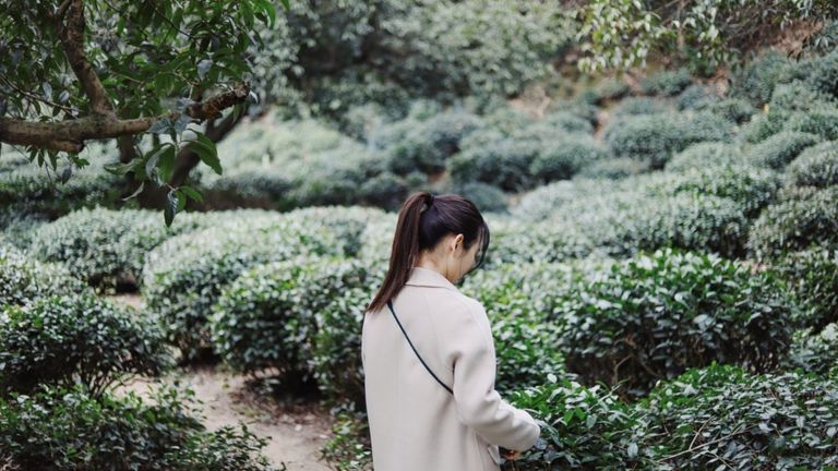 Nguồn: Ray Chan @ Unsplash