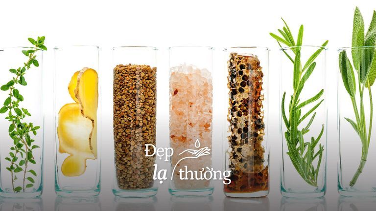 Nguồn: Quimidroga