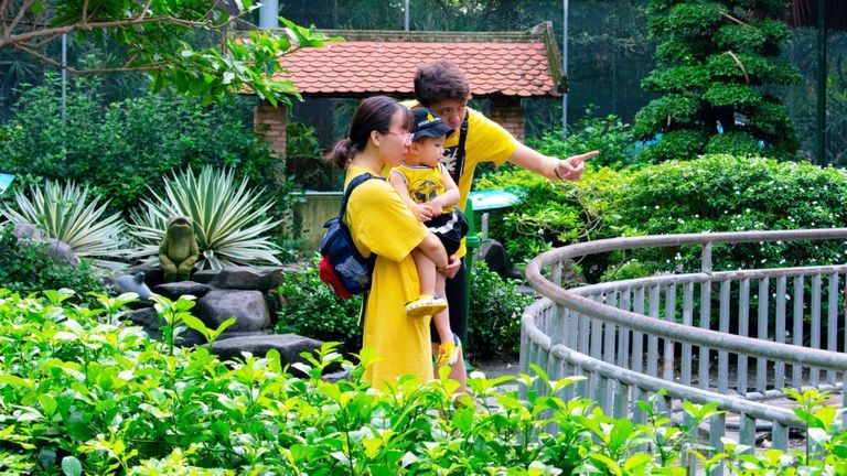 Nature Over Urbanization: Vietnam Seeks To Add More Green Space