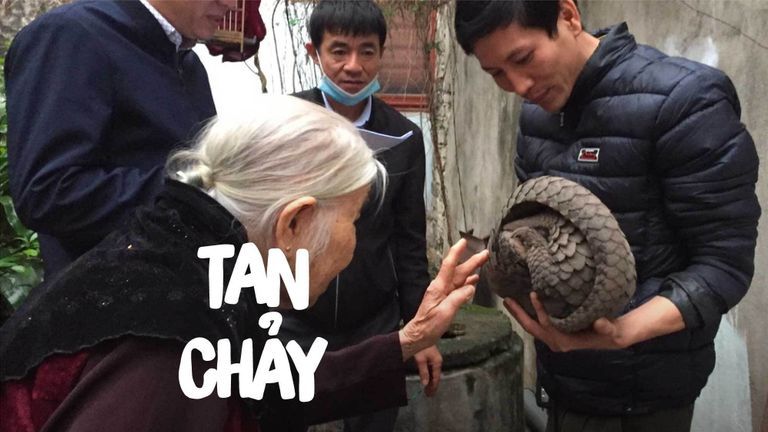 Bà chăm sóc tê tê như đứa cháu