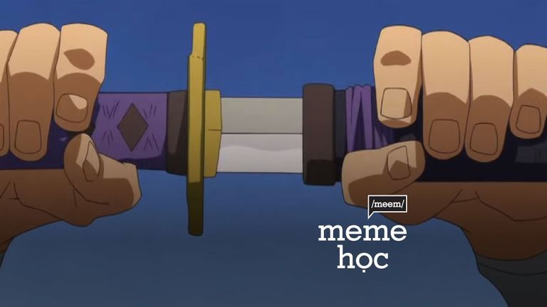 Meme học: Unsheathing the Sword