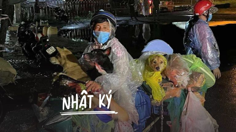 Đàn chó cà mau