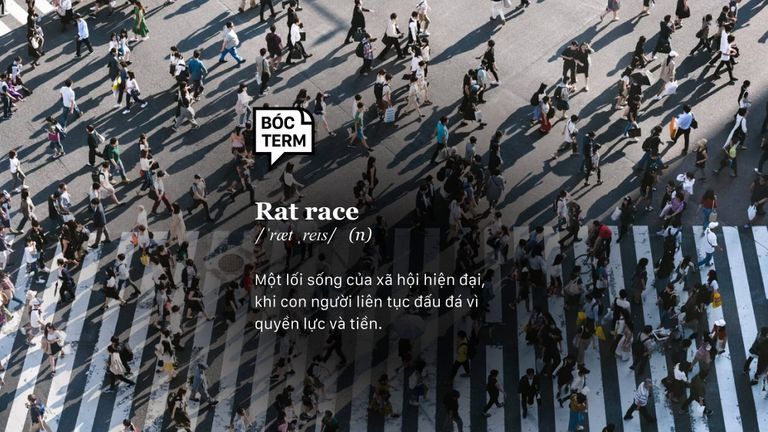 Rat Race là một cuộc đua không dừng lại?