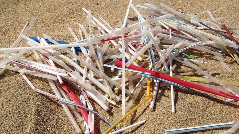 Nguồn: Plastic Pollution Coalition