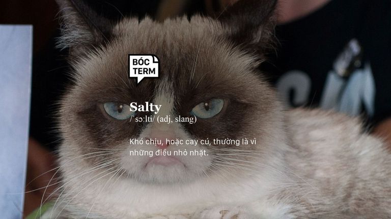 Salty là tính từ, chỉ sự tức giận, khó chịu vì những điều nhỏ nhặt.