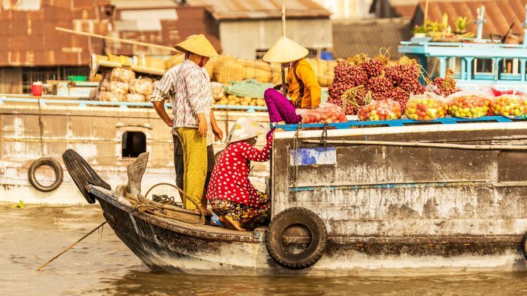 The Mekong Delta is home to unique ecosystems, as well as diverse communities unlike anywhere else in the world. | Source: Shutterstock