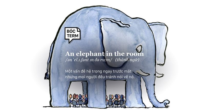 An elephant in the room là gì? Vì sao bạn chọn 'ngó lơ' chuyện hệ trọng?