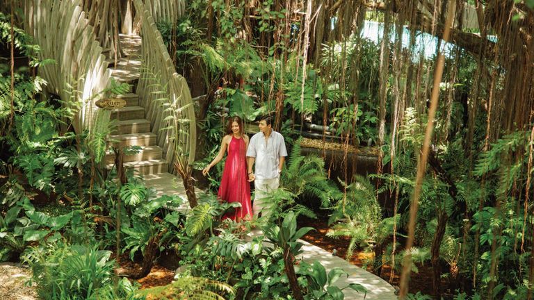 Nguồn: An Lâm Retreats