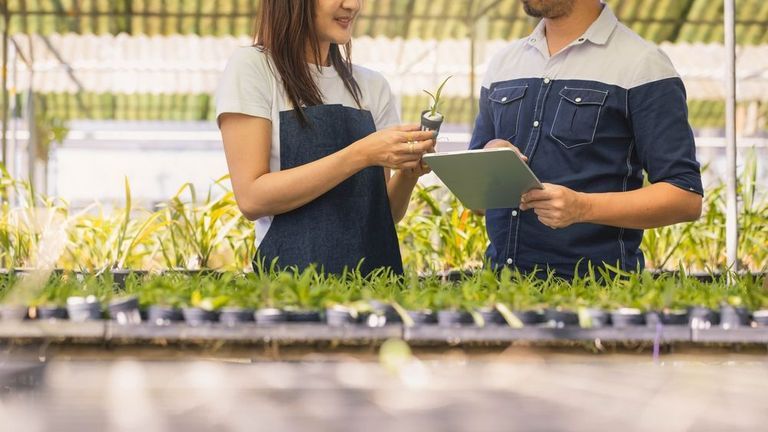 Xu hướng khởi nghiệp ở Việt Nam hiện này là tập trung vào các dự án góp phần phát triển cộng đồng và tính bền vững. | Nguồn: Shutterstock