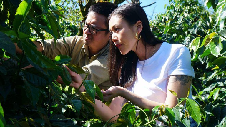 Robusta Việt Nam - Chìa khóa cho sự bền vững của ngành cà phê