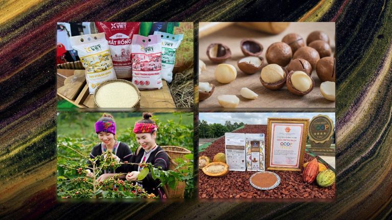 Nguồn: Tổng hợp/Thúy Anh thiết kế cho Vietcetera