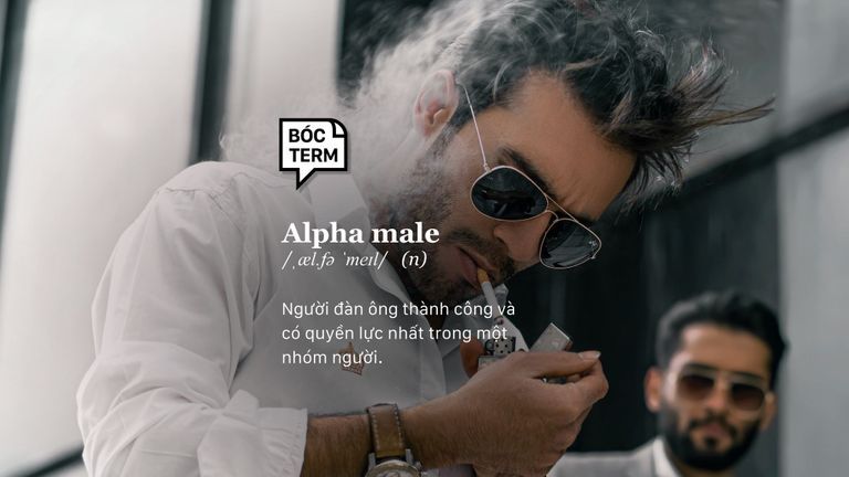 Bóc Term:  Alpha Male - Là đàn ông phải thế?