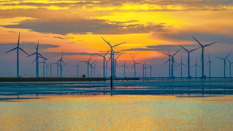 Vietnam Among Leaders In Renewable Energy Shift In Asia-Pacific