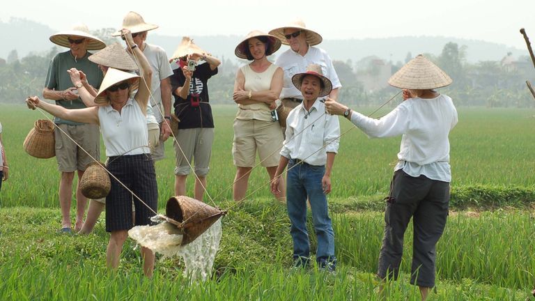 Du khách trực tiếp trải nghiệm làm ruộng tại đồng quê ở Vĩnh Phúc. | Nguồn: Đài PTTH Vĩnh Phúc